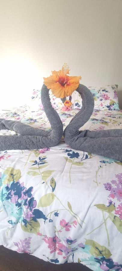 ハンガ・ロアHostal Henua Roa 2アパートメント エクステリア 写真