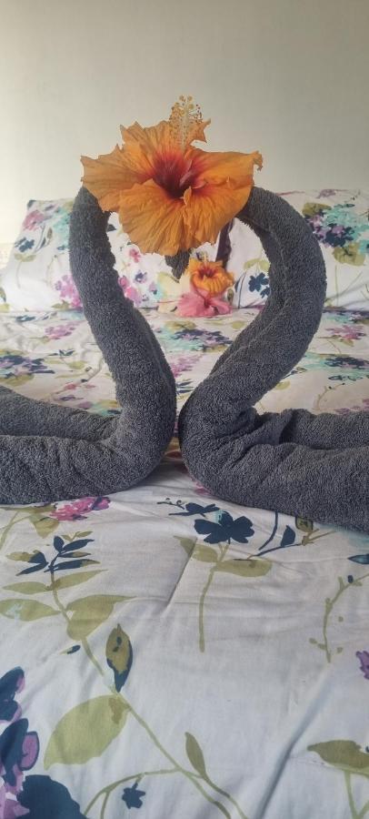 ハンガ・ロアHostal Henua Roa 2アパートメント エクステリア 写真